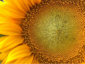 1791478485712.88f5358301.png