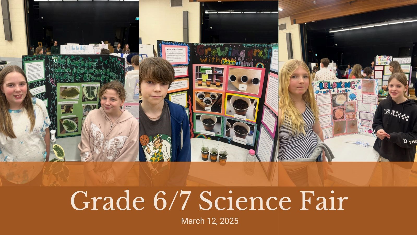 Grade 6/7 Science Fair