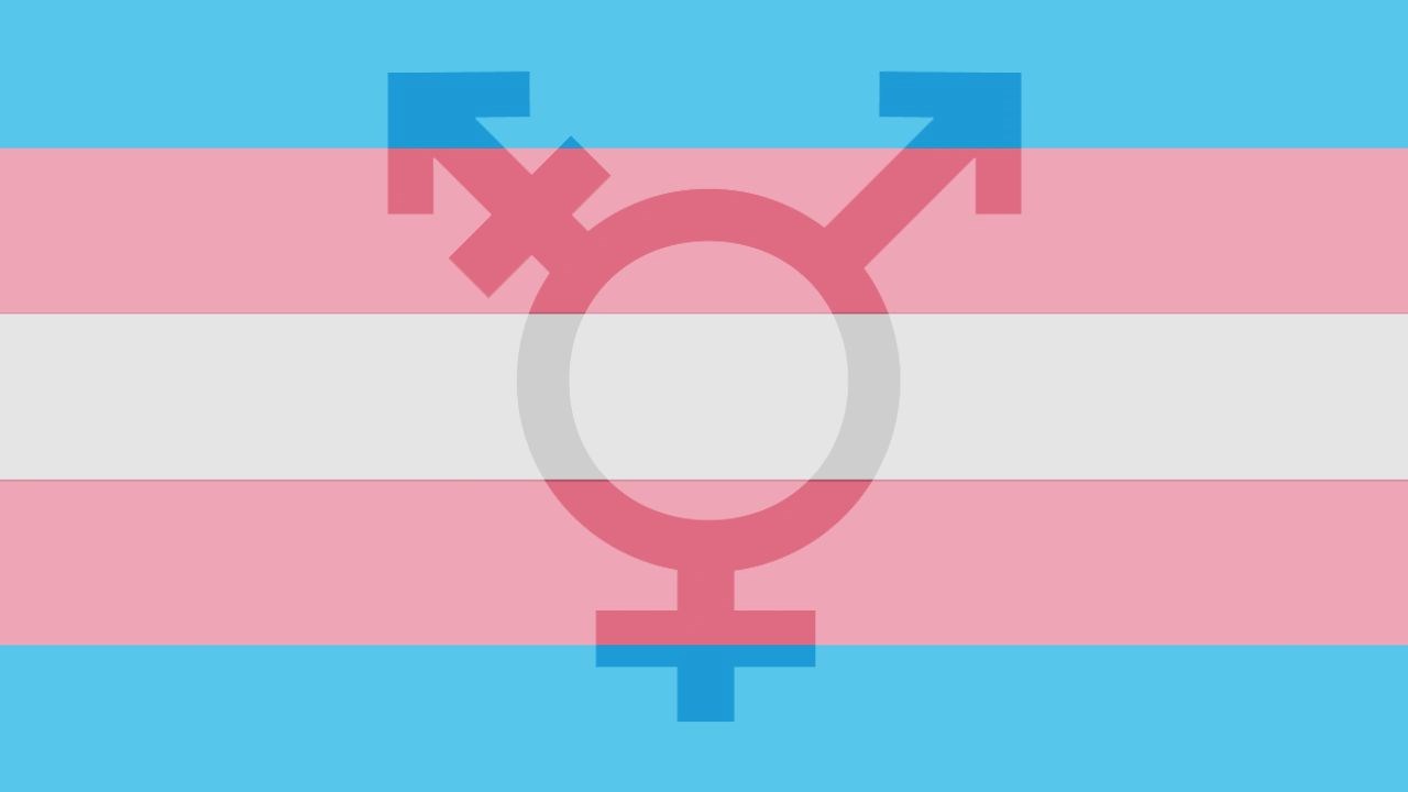 Transgender Flag